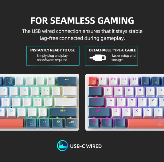 Mini Mechanical Keybaord 60% Form Factor 61Keys Gaming Keybaord Wired Full Key Hot-Swappable RGB Backlit